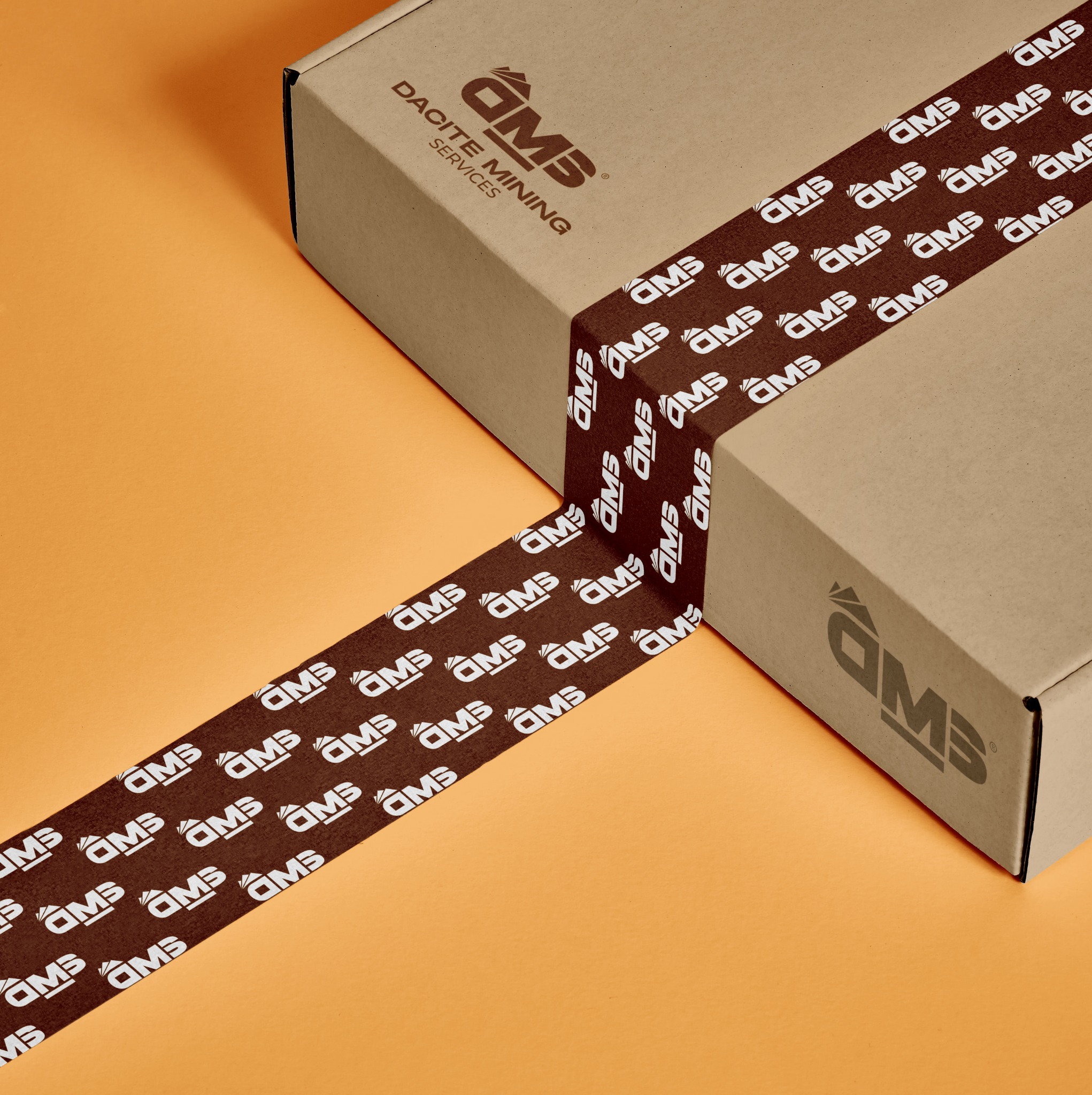 DMS branded technical product packaging